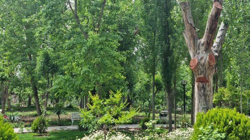 place-info-image