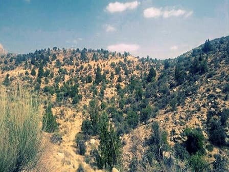 place-info-image