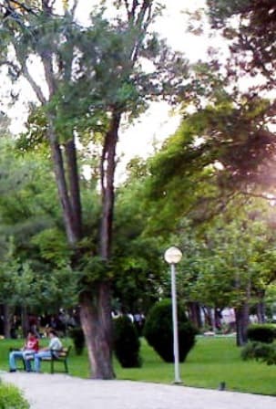 place-info-image