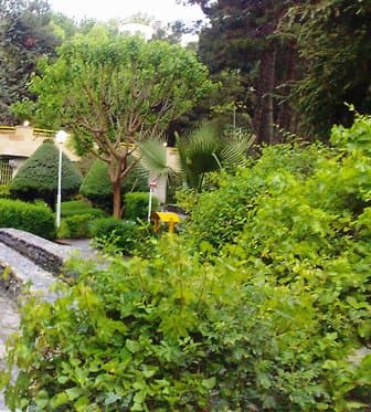place-info-image