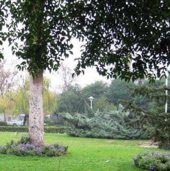 place-info-image