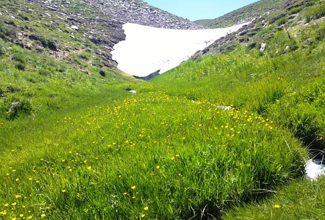 place-info-image