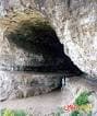 image-gallery