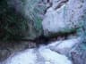 image-gallery