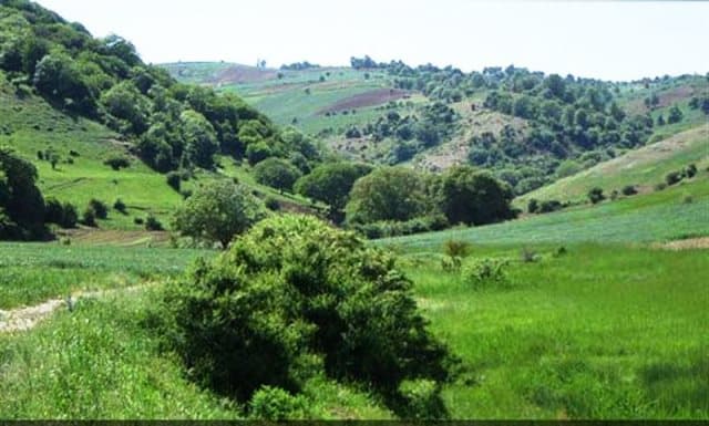 place-info-image
