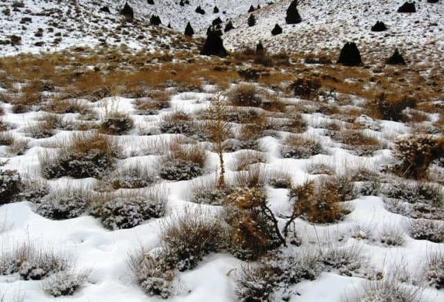 place-info-image
