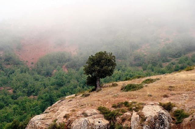 place-info-image
