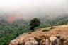 image-gallery