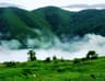 image-gallery