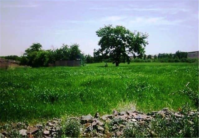 place-info-image