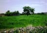 image-gallery