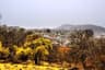 image-gallery