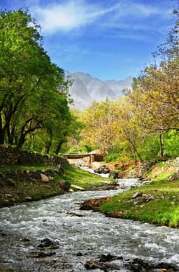 image-gallery