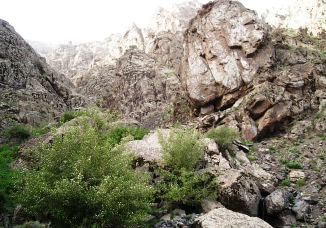 place-info-image