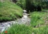 image-gallery