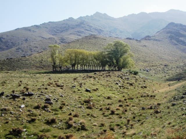 place-info-image