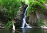 image-gallery