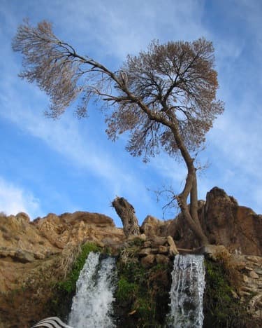 place-info-image