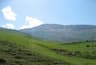 image-gallery