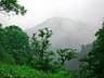 image-gallery