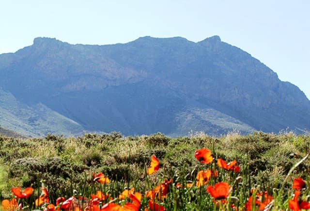 place-info-image