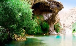 image-gallery