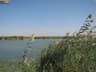 image-gallery