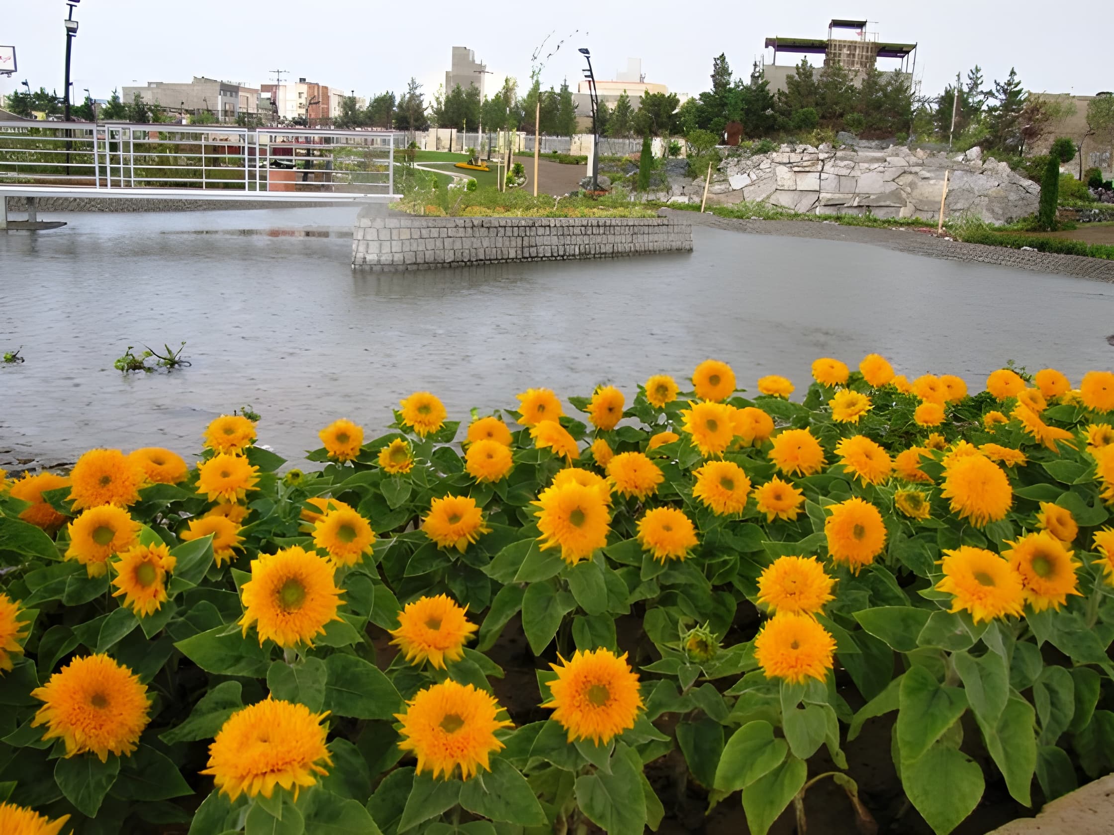 place-info-image