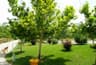 image-gallery