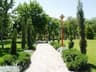 image-gallery