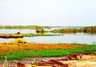 image-gallery