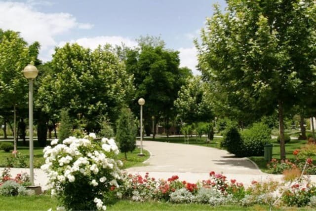 place-info-image
