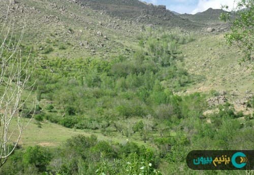 place-info-image