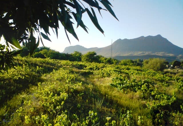 place-info-image