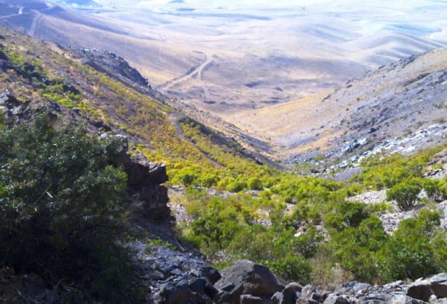 place-info-image