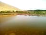 image-gallery