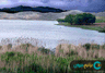 image-gallery