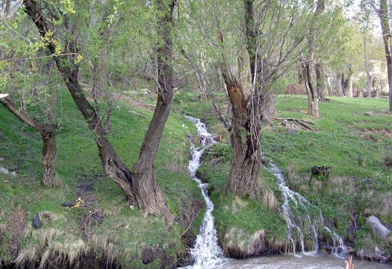 place-info-image