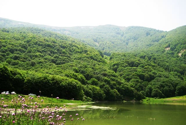 place-info-image