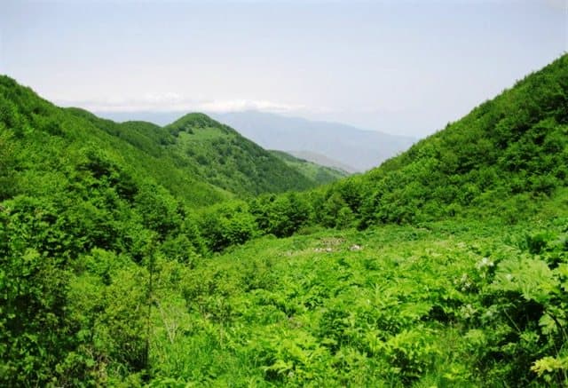 place-info-image