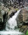 image-gallery