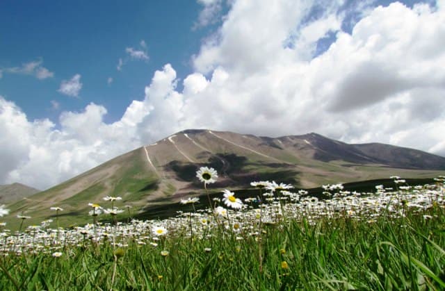 place-info-image