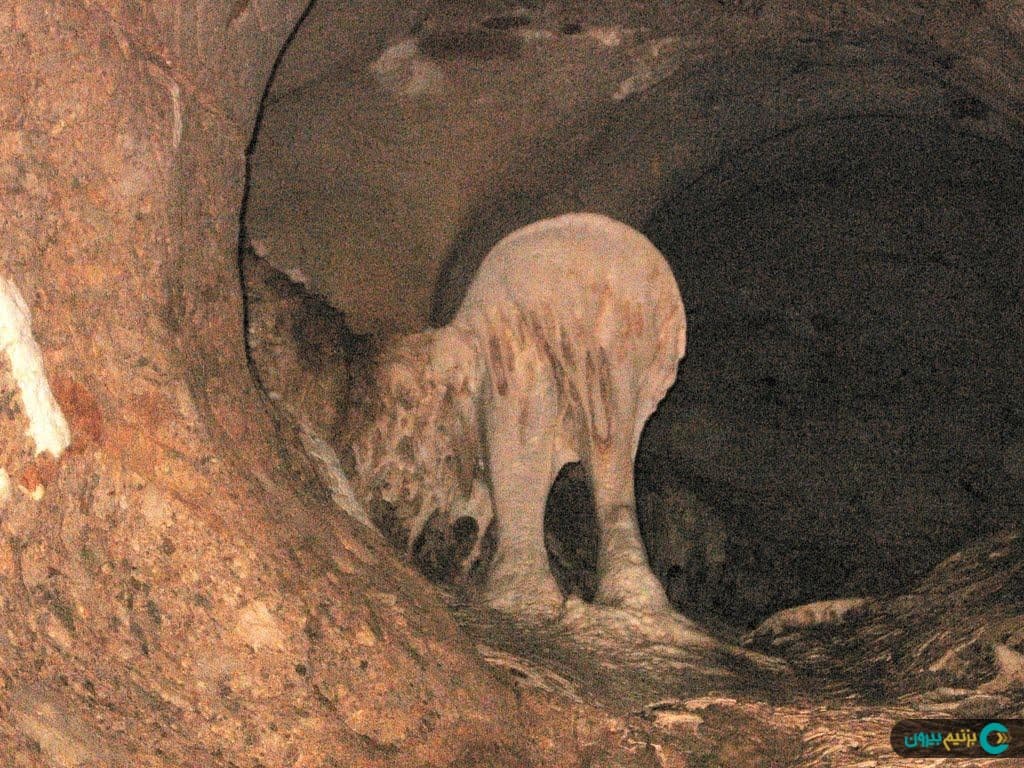 place-info-image