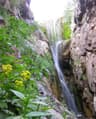 image-gallery