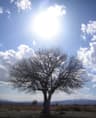 image-gallery
