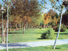 image-gallery