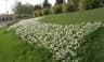 image-gallery