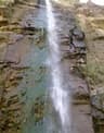 image-gallery