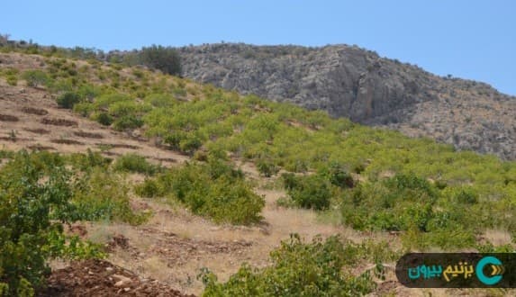 place-info-image