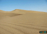 image-gallery